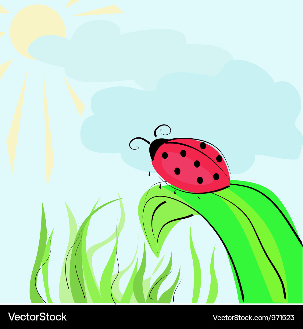 Ladybird Vector Image