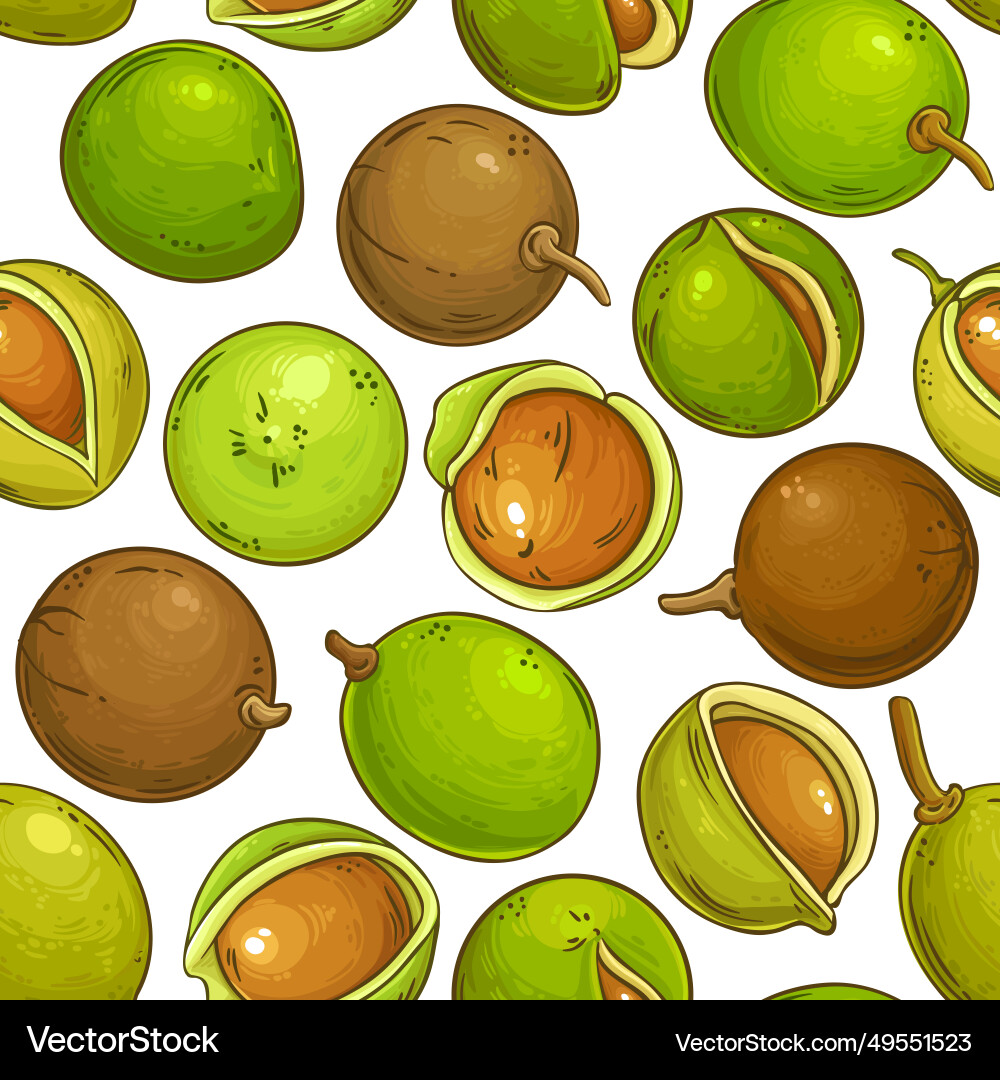 Mongongo nuts pattern on white background Mongongo nuts pattern on white background vector image