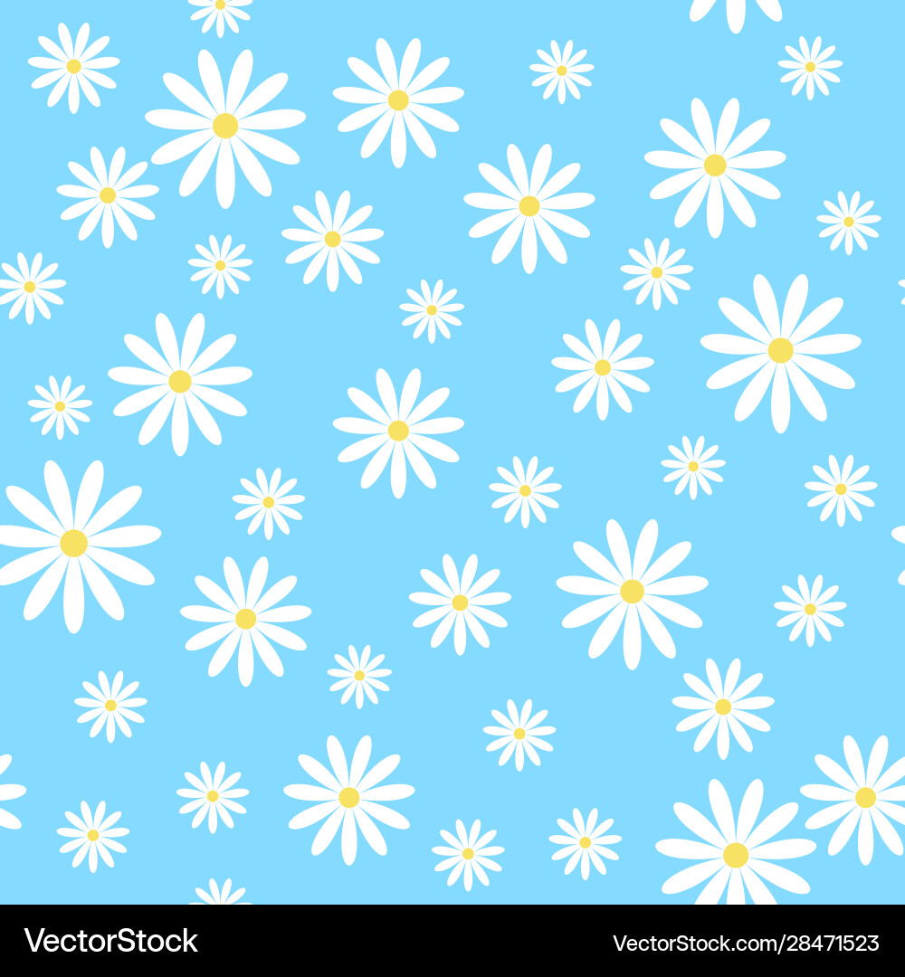 Seamless pattern with chamomiles Vector Image