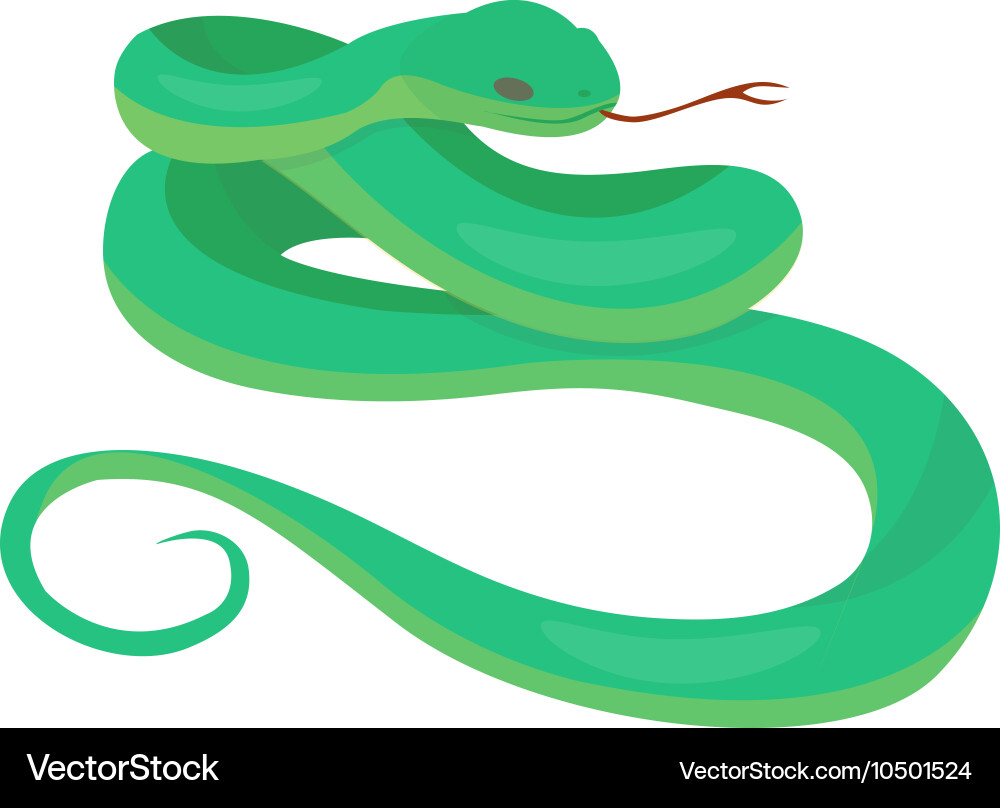 Python boa snake vector image