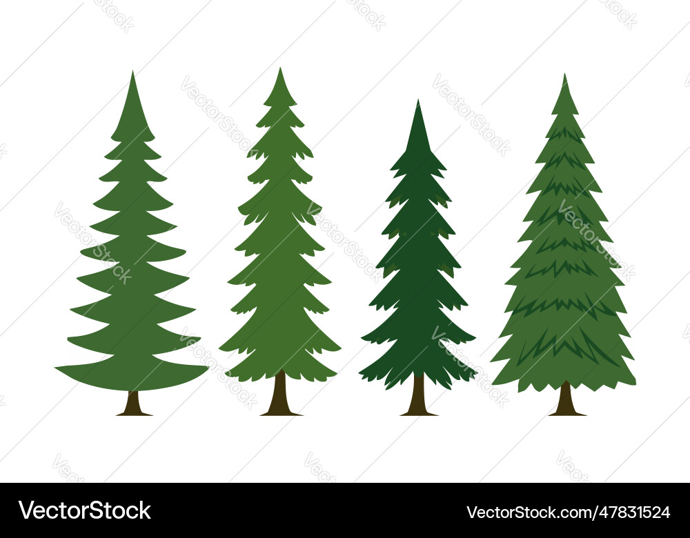 Set of spruce tree design in flat style Set of spruce tree design in flat style vector image