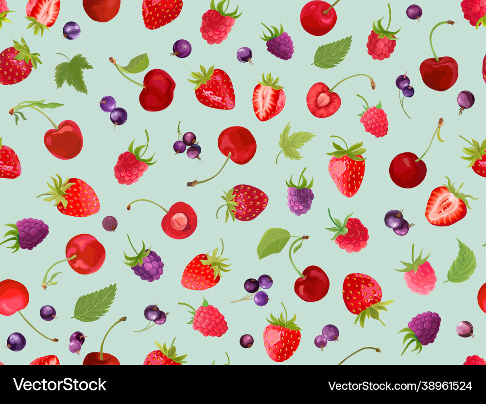 Watercolor cherry strawberry raspberry black vector image