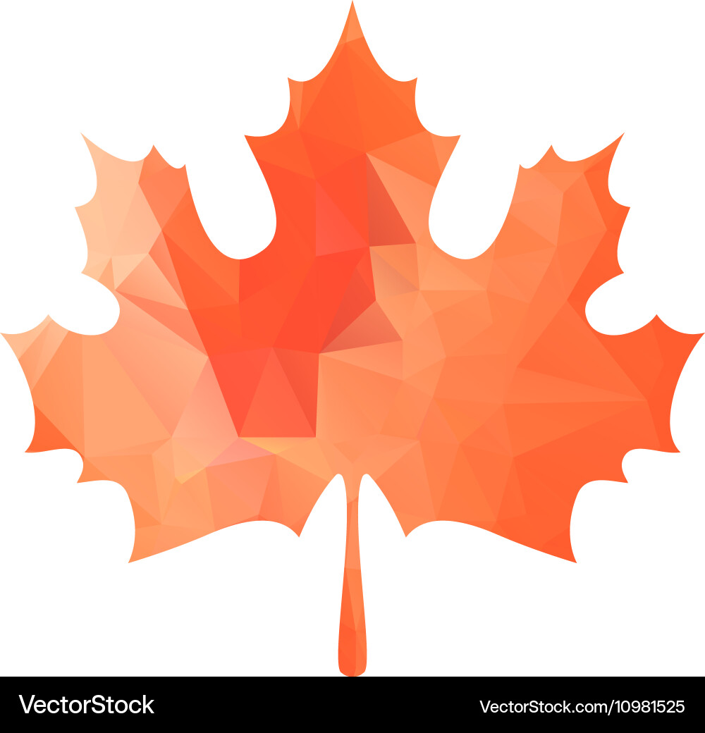 Abstract maple leaf silhouette with pattern Vector Image
