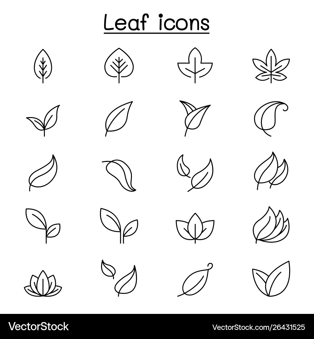 Thin Line Leaf Icon Set vector image