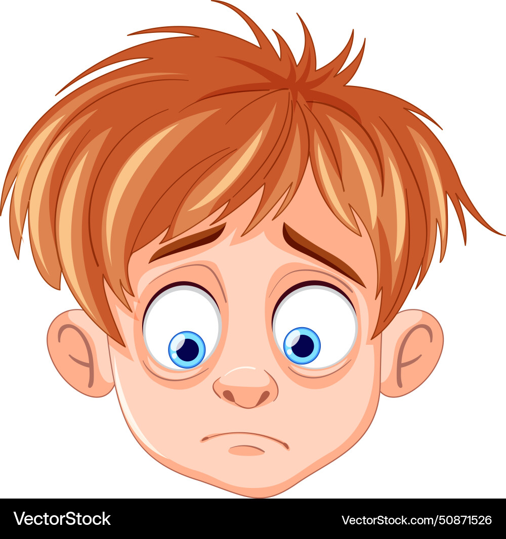 A boy with concerned expression Vector Image