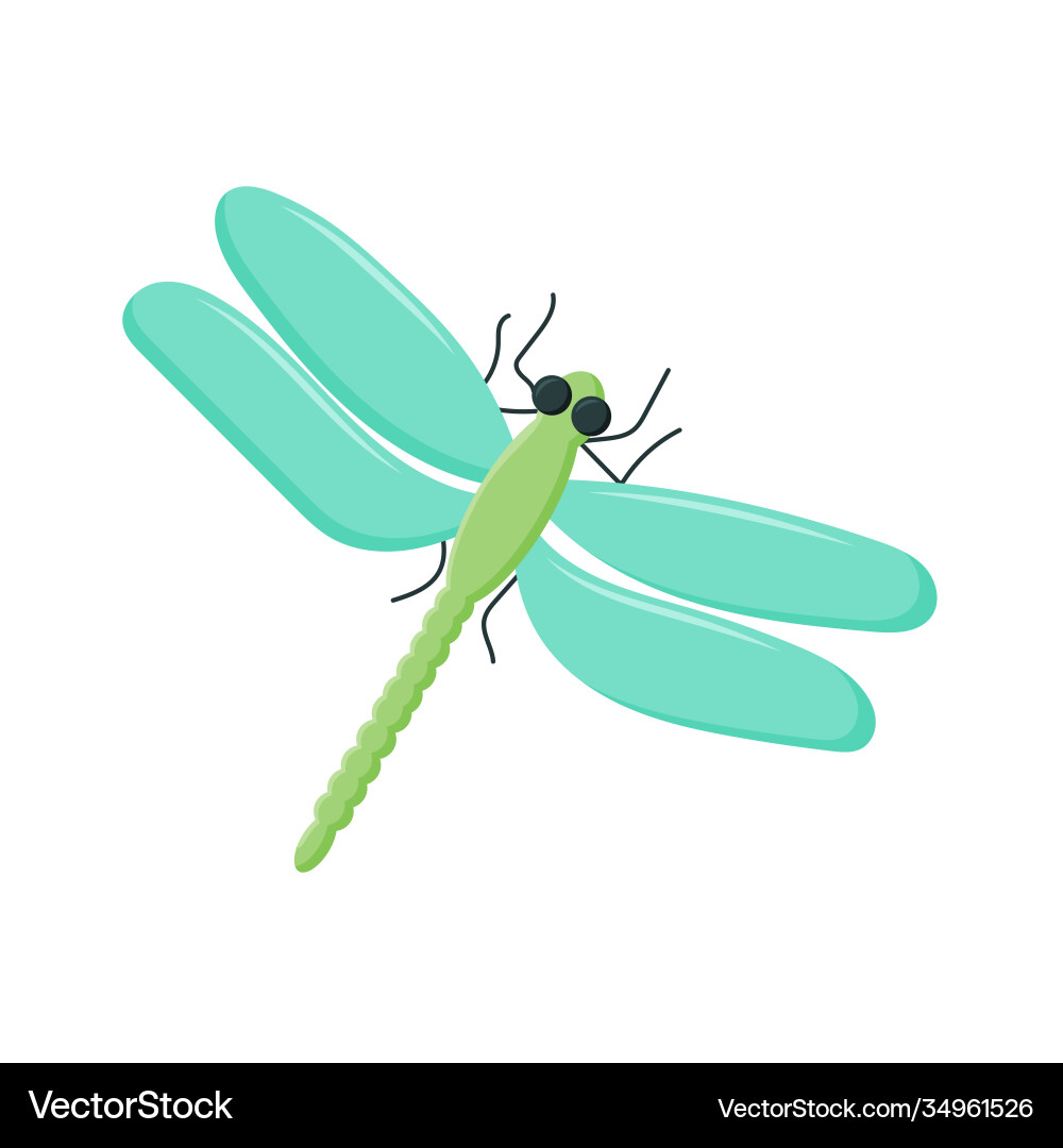 Cartoon dragonfly character funny dragon fly icon Cartoon dragonfly character funny dragon fly icon vector image