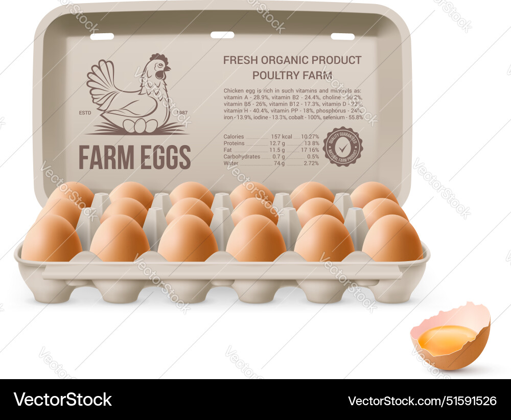 Chicken eggs Chicken eggs vector image