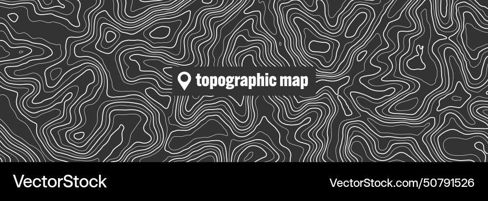 Topographic map with contour lines geographic Vector Image
