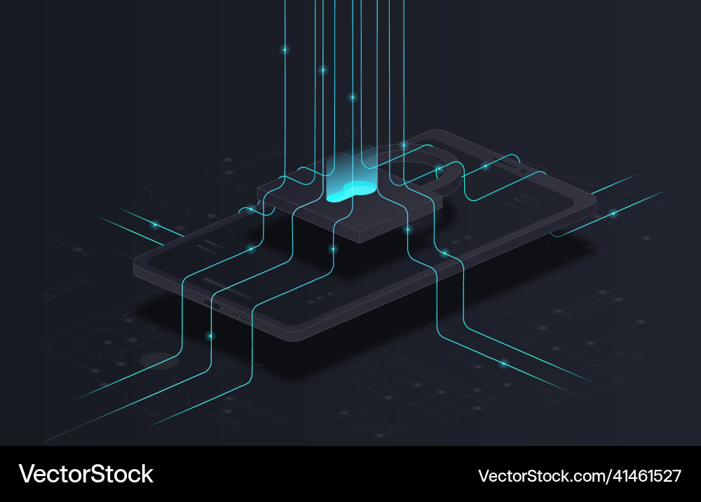 Digital Security Network vector image