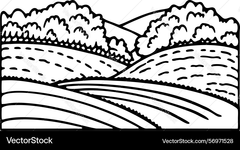 Rolling hills landscape with trees and fields Rolling hills landscape with trees and fields Vector Image
