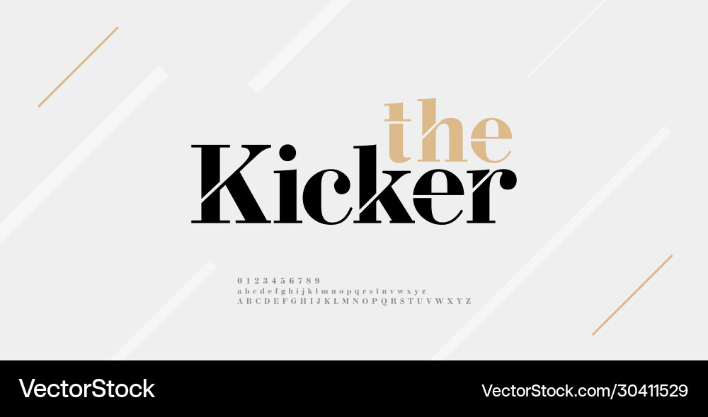 Elegant Alphabet Font & Number Set vector image