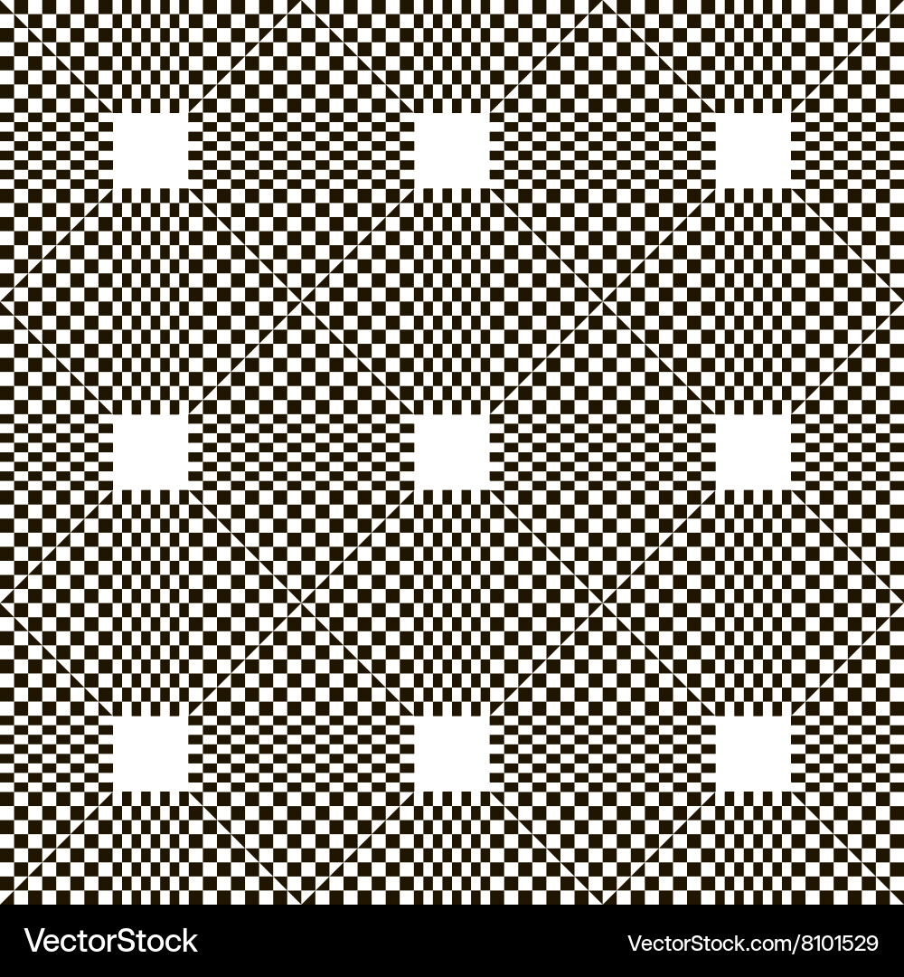 Monochrome chequered pattern with squares vector image