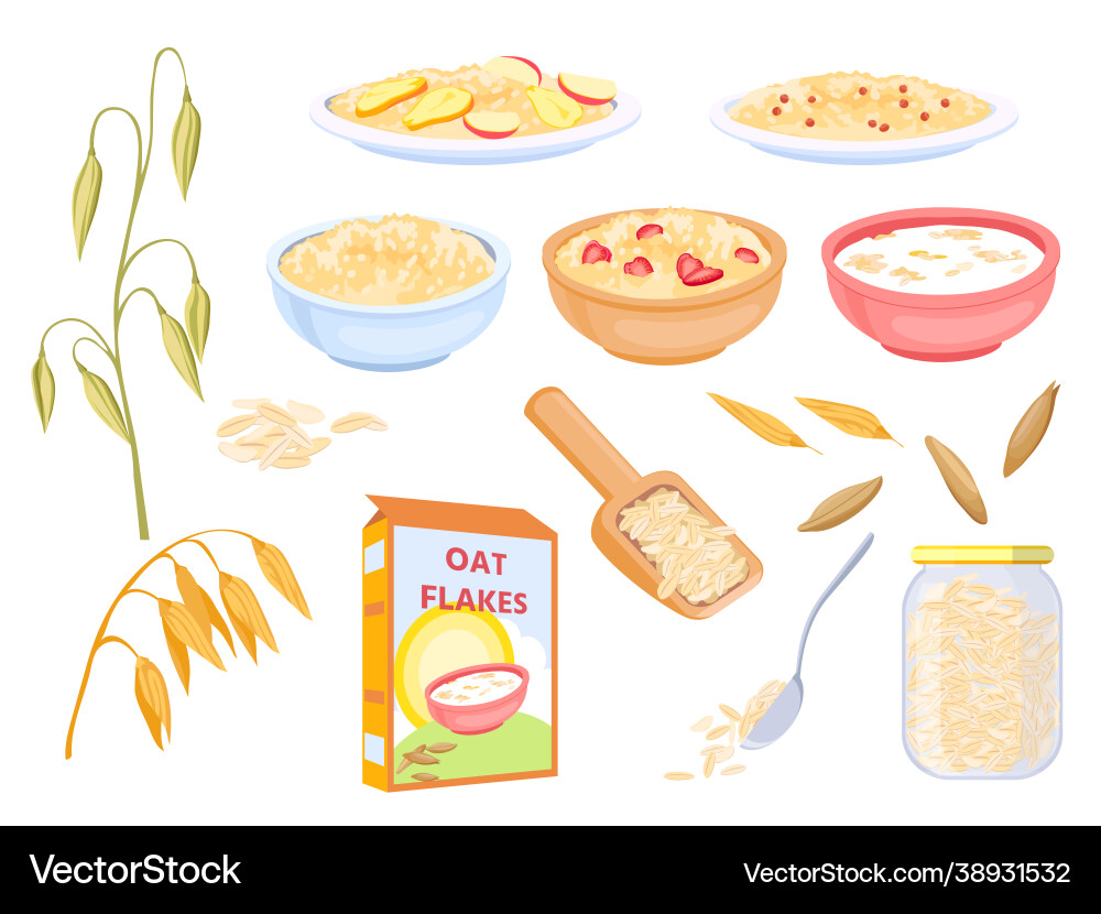 Cartoon oatmeal breakfast cereals sweet flakes Cartoon oatmeal breakfast cereals sweet flakes vector image