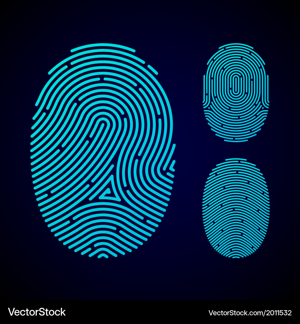 Fingerprint Pattern Types vector image