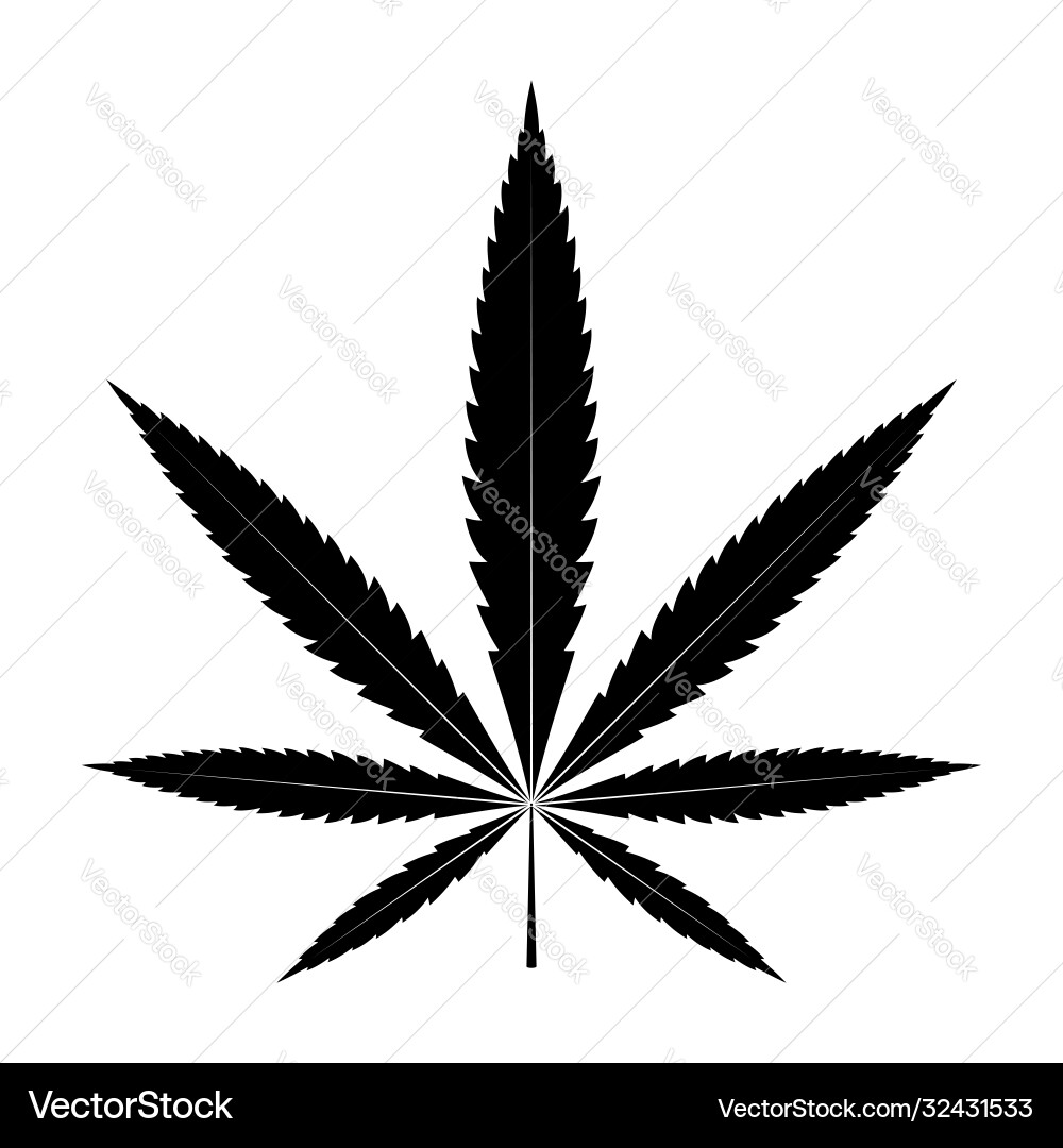 Cannabis Leaf Icon Royalty Free Vector Image - VectorStock