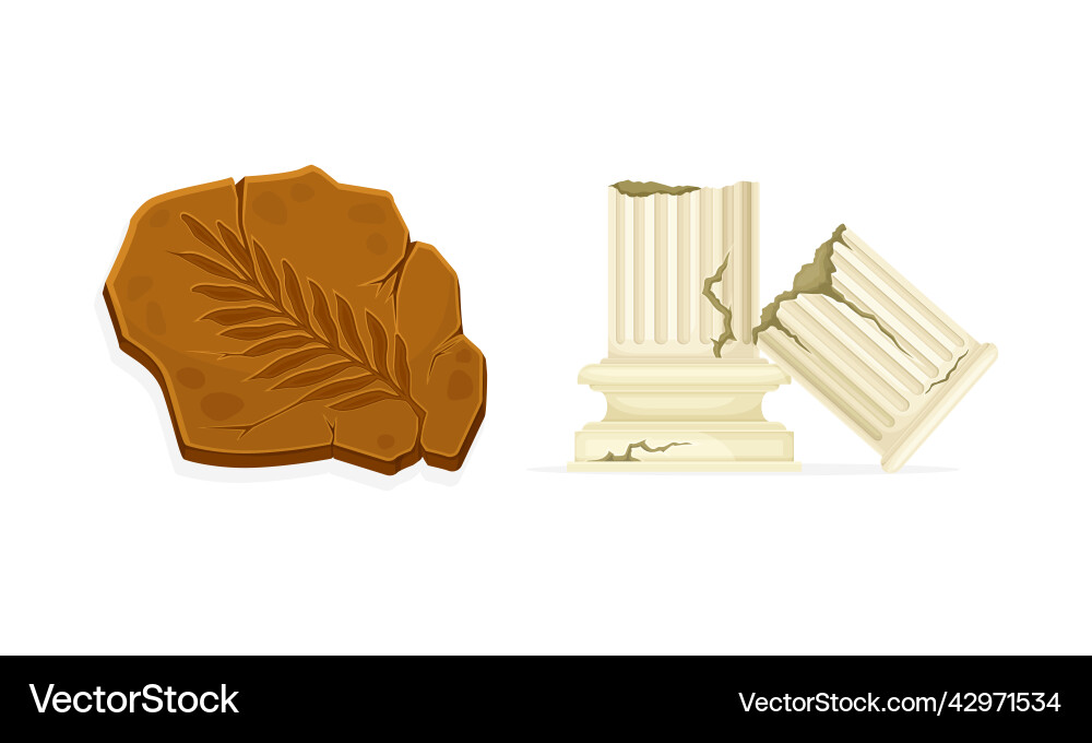 Antique broken greek column and fossil objects Vector Image