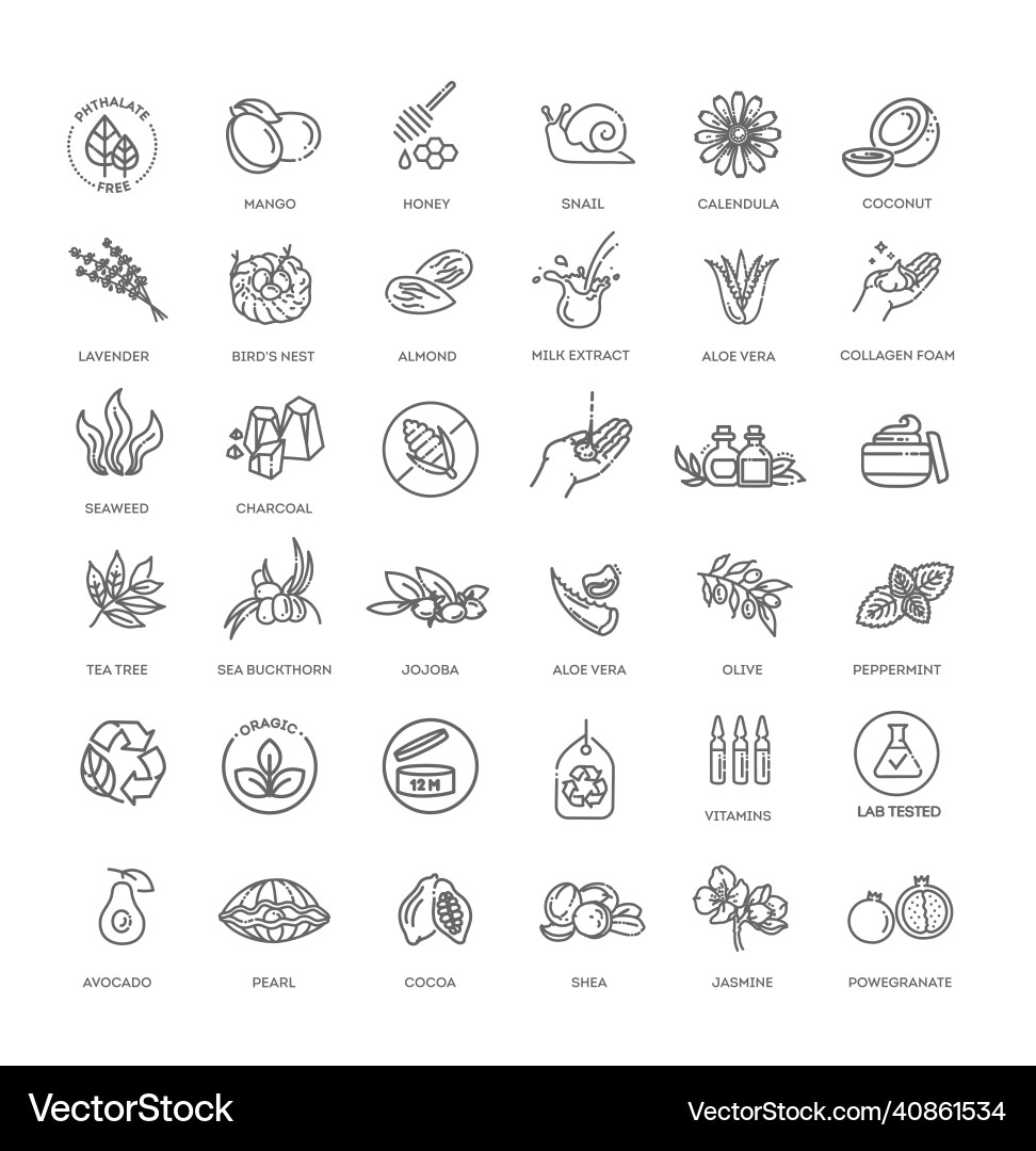 Natürliche organische Kosmetik vegane Lebensmittel-Symbole Natürliche organische Kosmetik vegane Lebensmittel-Symbole vektorbild