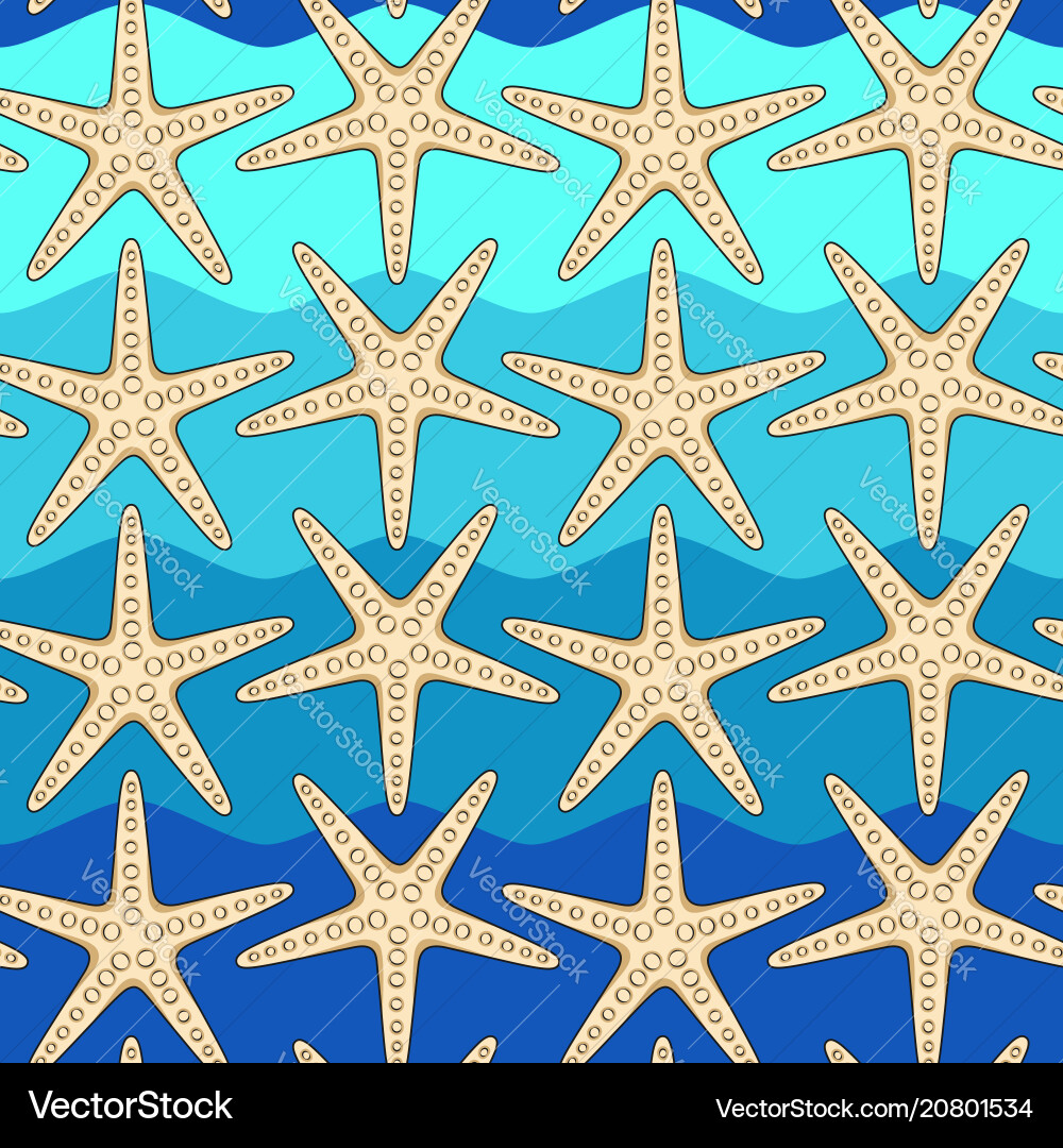 Seamless color pattern with starfish vector image