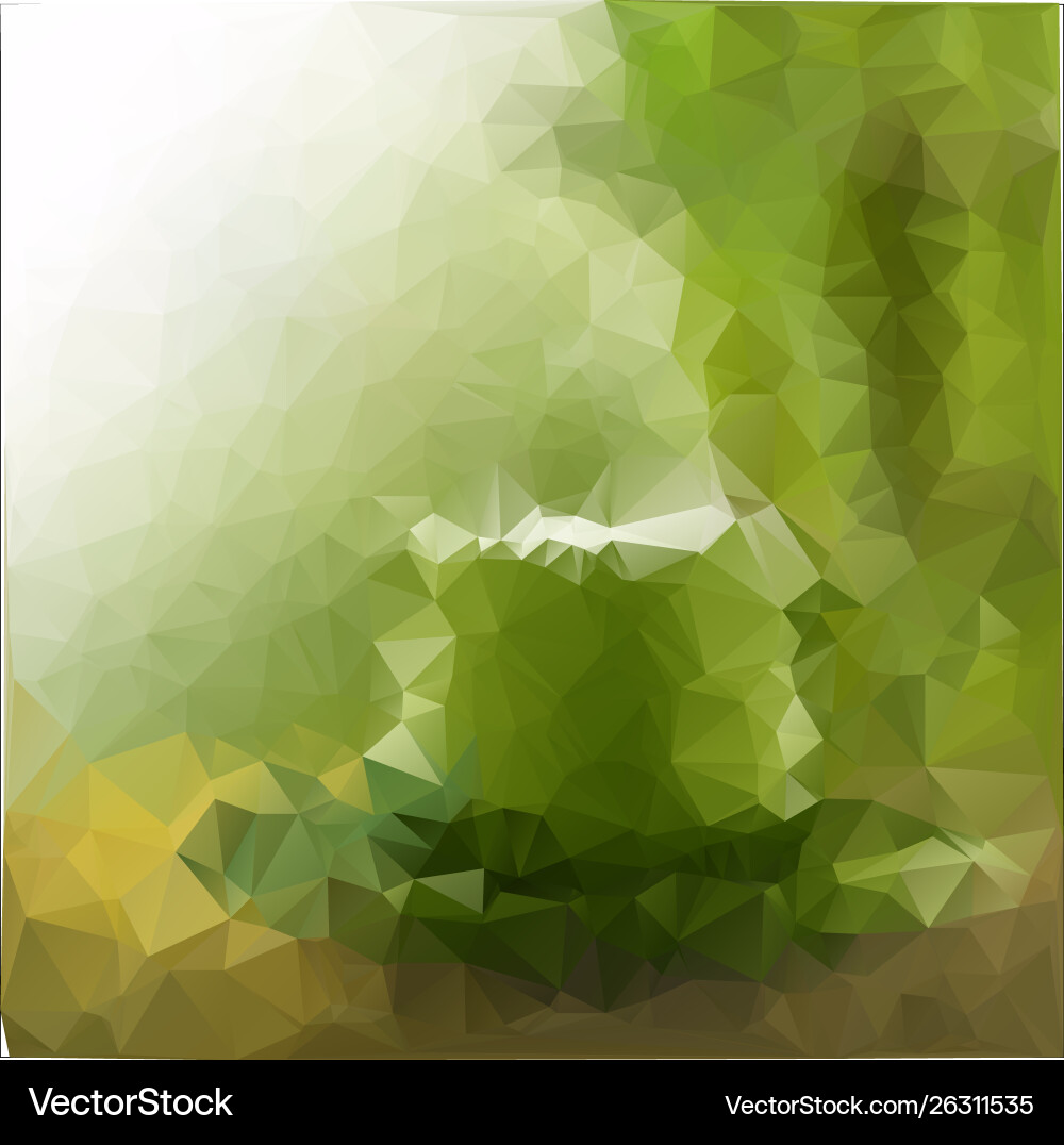 Abstract low poly background triangles vector image