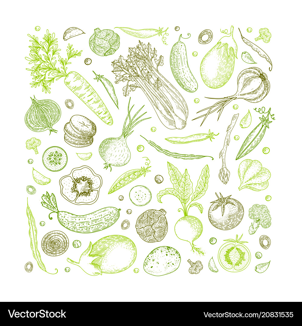Vegetarische Hand gezogen Vintage Vegetarische Hand gezogen Vintage vektorbild