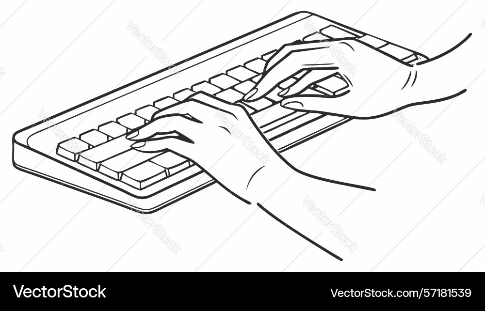 Hands typing on keyboard productive work vector image