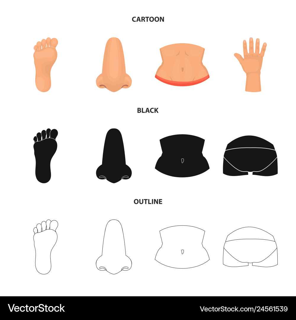 Isolated object of body and part sign collection Isolated object of body and part sign collection vector image