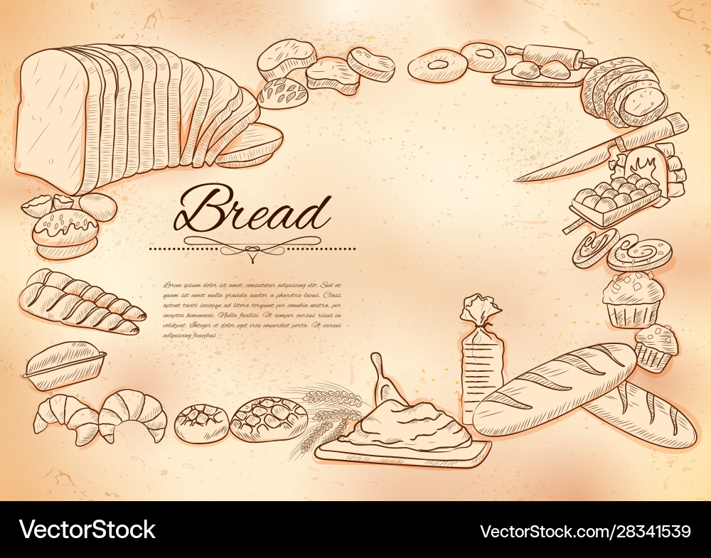 Template different types bread and loafs Template different types bread and loafs vector image