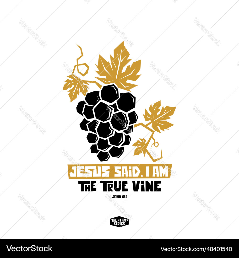 Jesus said iam - the true vine Royalty Free Vector Image