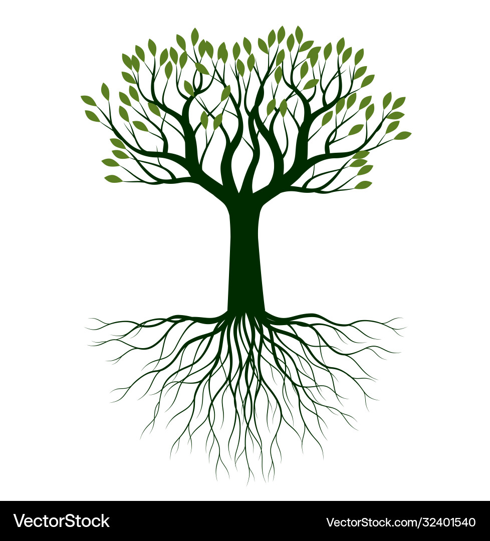 Sommer nackt Baum Umriss Pflanze Sommer nackt Baum Umriss Pflanze vektorbild