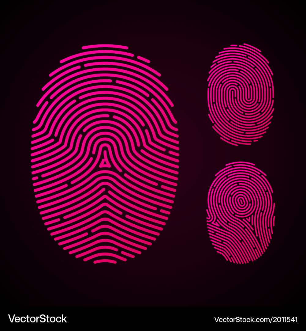Fingerprint Pattern Types vector image
