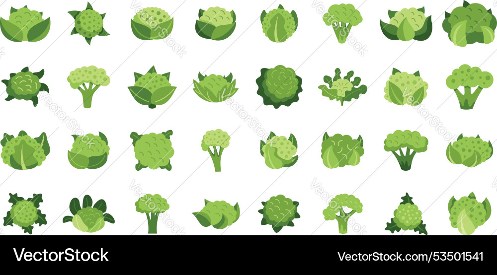 Set of green cauliflower icons showing different Set of green cauliflower icons showing different vector image
