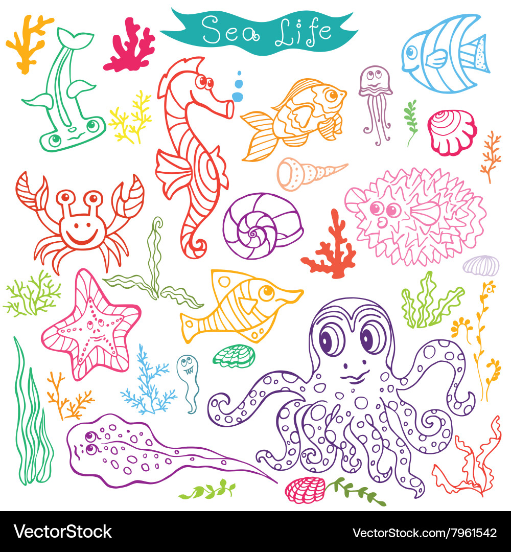 Colorful Underwater Sea Creatures Doodle Vector Image