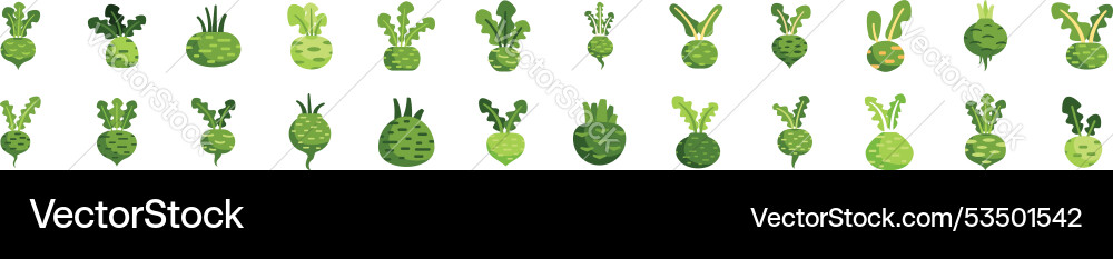 Set of kohlrabi cabbage icons showing different Vector Image