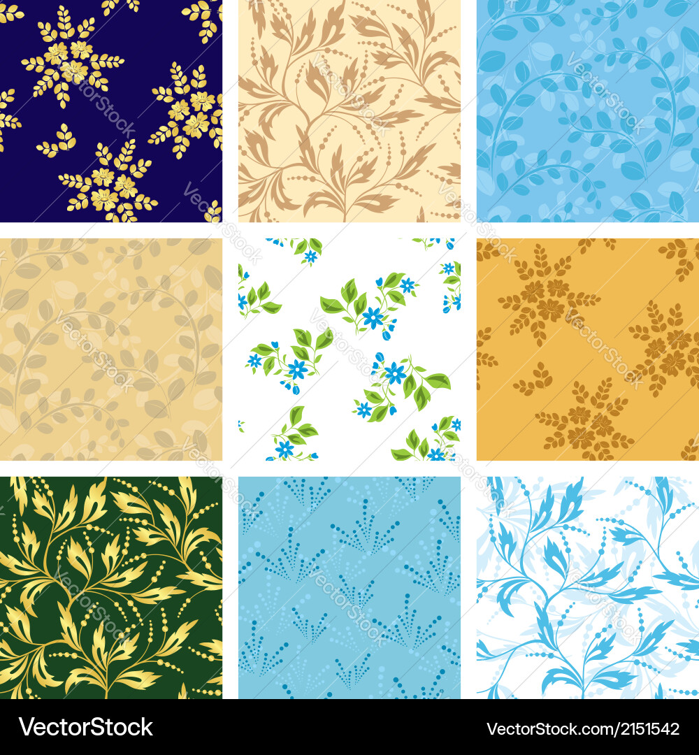 Set of various seamless patterns with flora vector image