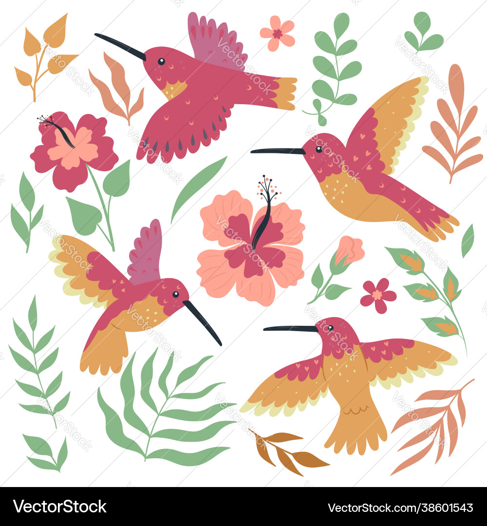 Hummingbirds and Flowers Vector Image