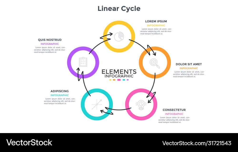 Modern infographic options banner Modern infographic options banner vector image