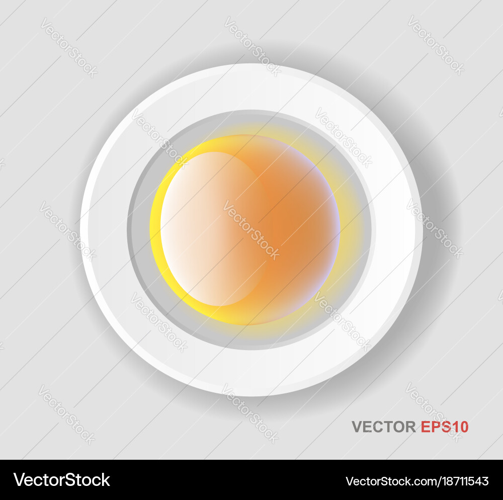 Web buttons for design white forms set Vector Image