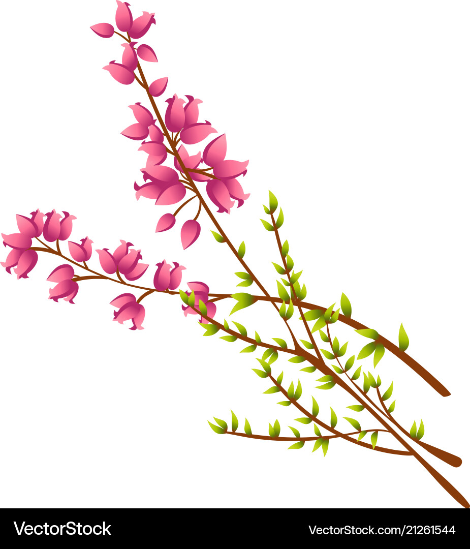 Heather Flower Icon - Calluna Vulgaris Vector Image
