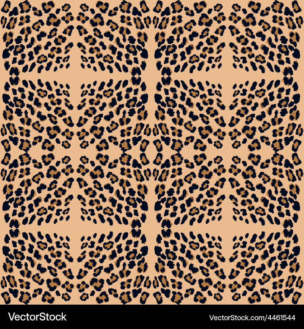 Leopard print pattern skin vector image