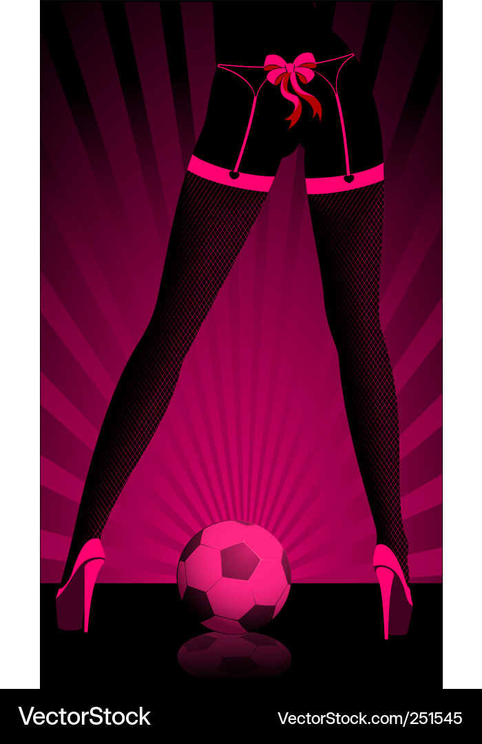 Elegant Female Legs Vector Image