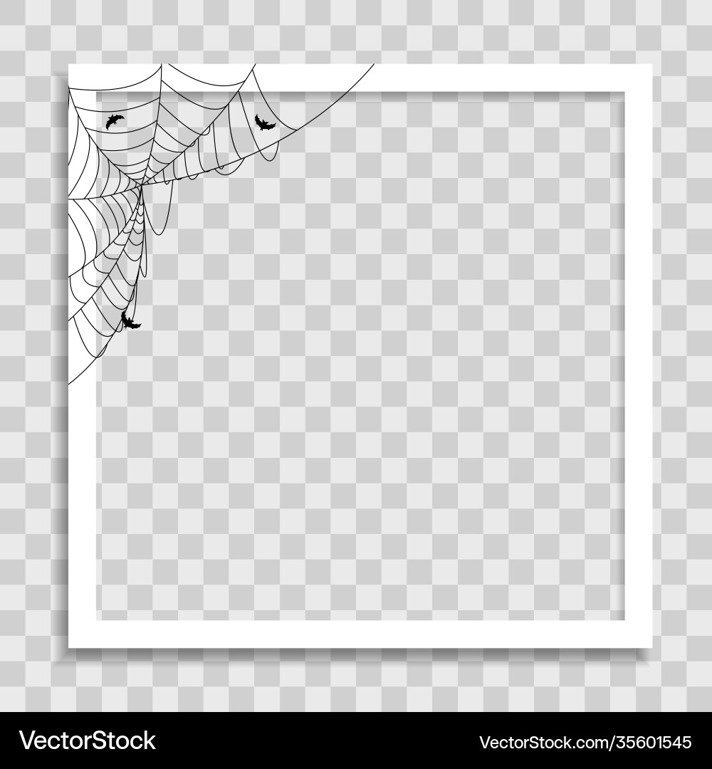 Empty photo frame template with spider cobweb vector image