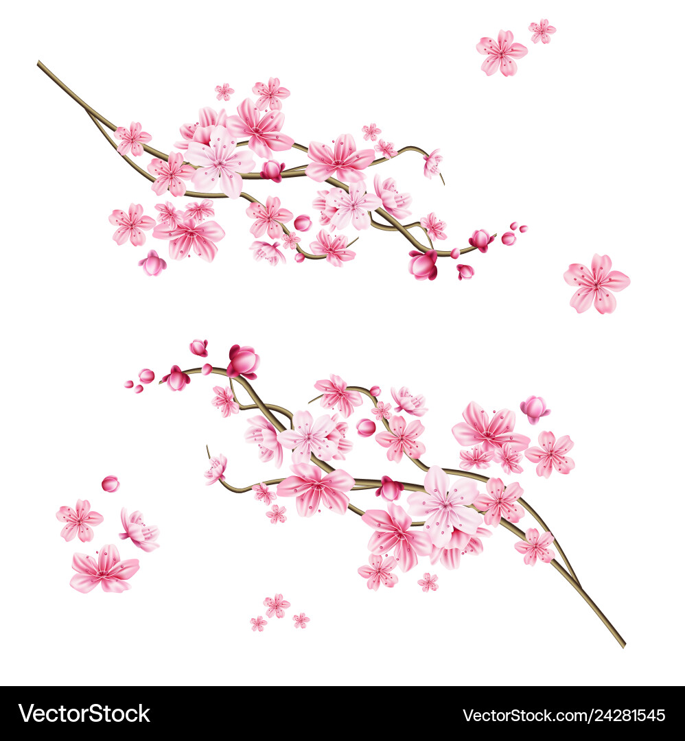 Realistic sakura tree with pink petal Realistic sakura tree with pink petal vector image