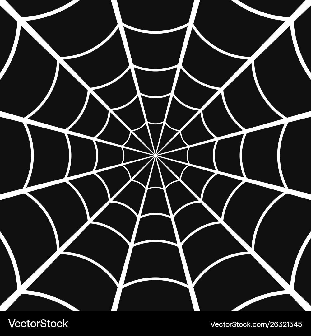 Spooky Cobweb on Dark Background vector image