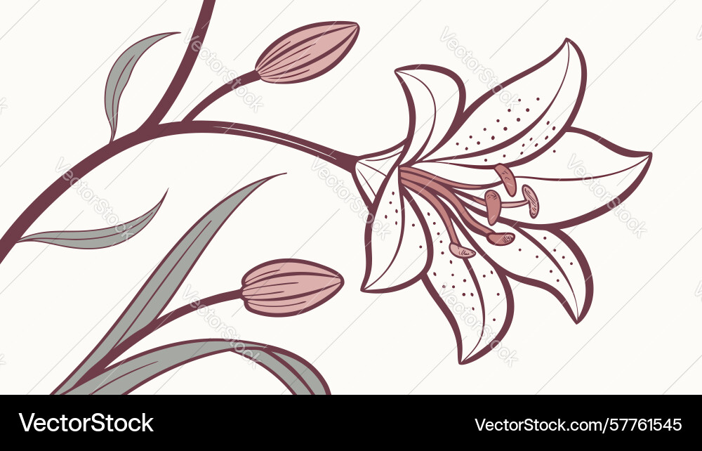 White lily branch outline design generative ai Vector Image