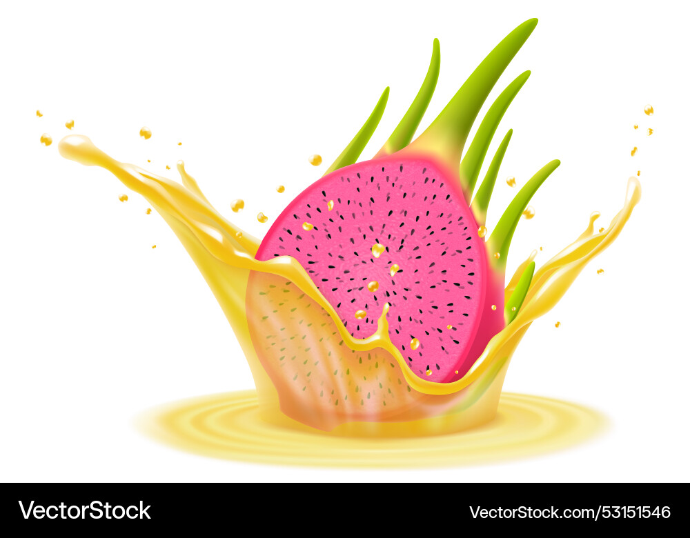 Fresh ripe dragon fruit falls into splash Fresh ripe dragon fruit falls into splash vector image