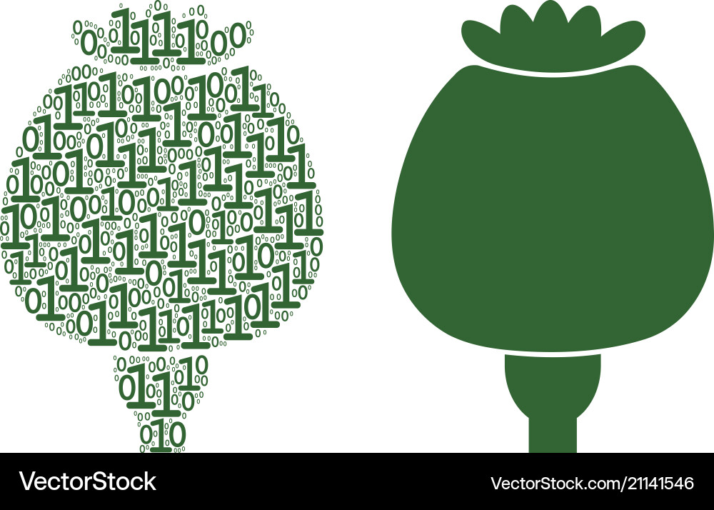 Opium poppy mosaic of binary digits Opium poppy mosaic of binary digits vector image