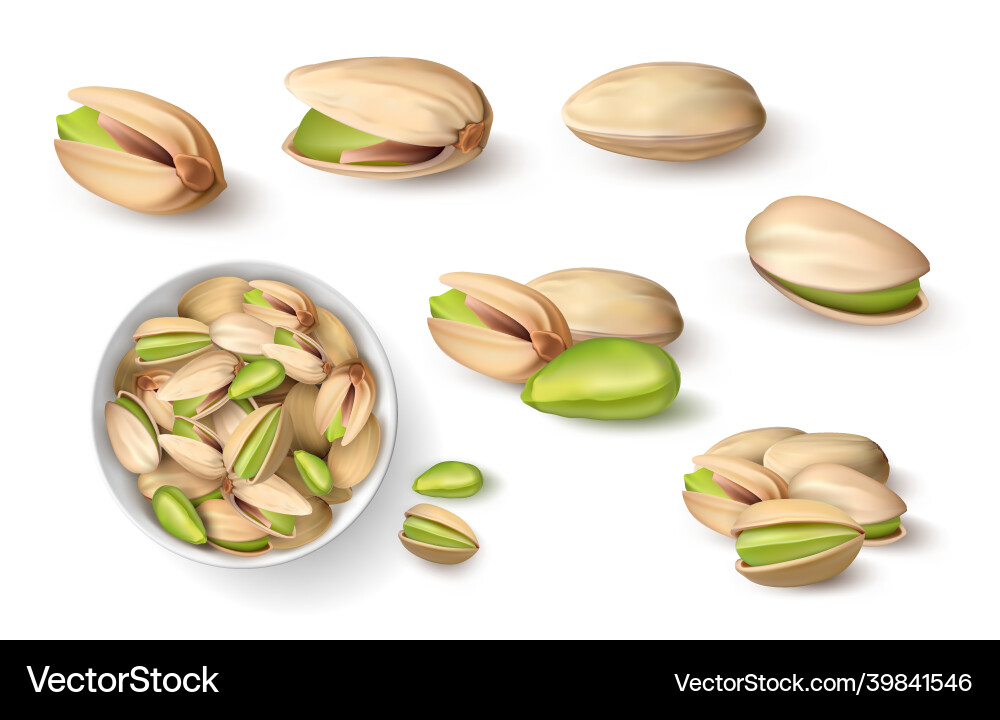 Realistic pistachio 3d roasted nut in shell vector image