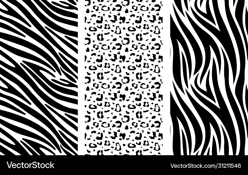 Zebra and Leopard Animal Print vector image