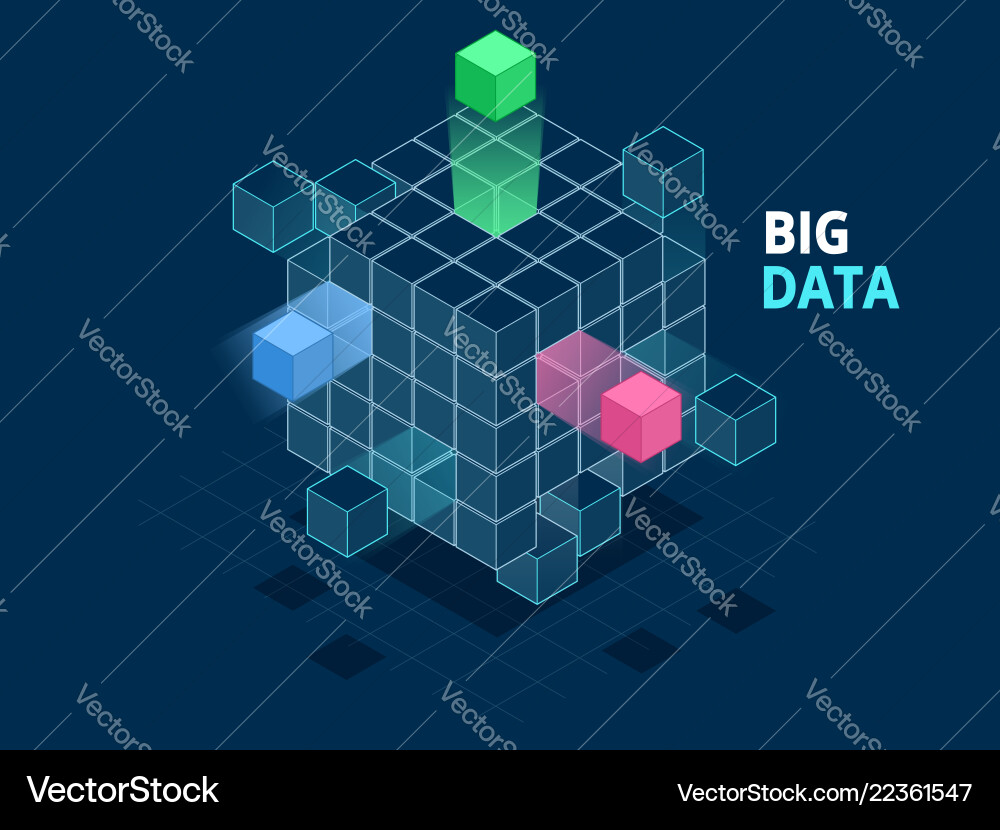 Isometric Data Cube Network vector image