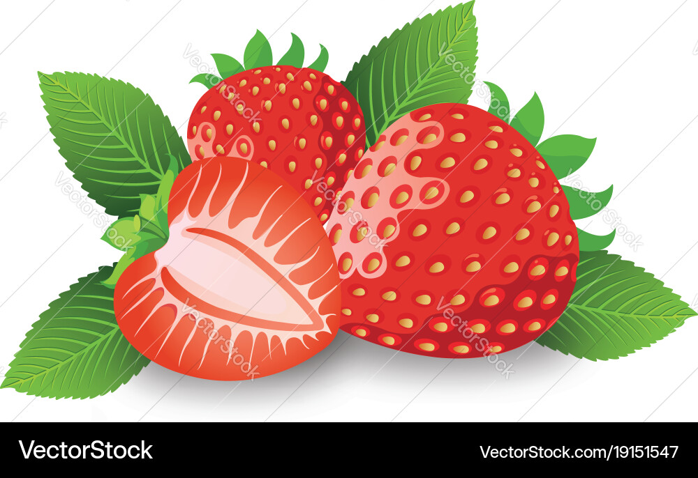 Strawberry Royalty Free Vector Image - VectorStock